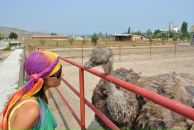 Фотография Мандровской Ксении