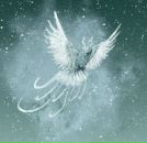 Фотография Чистяковой Дарьи