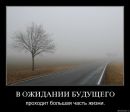 Фотография Михолап Анютки
