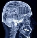 Сявко Амфітамінович фотография #10 (источник - https://vk.com/id100409655)