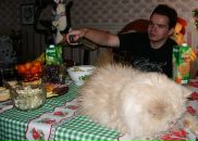 Фотография Понтеш Эрика