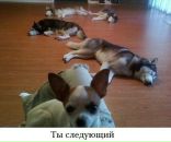 Дмитрий Матийцев фотография #26 (источник - https://vk.com/id4155942)