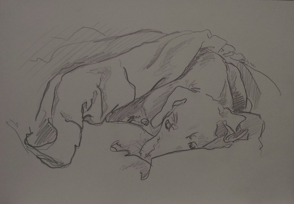 Helen Beleseva фотография #22