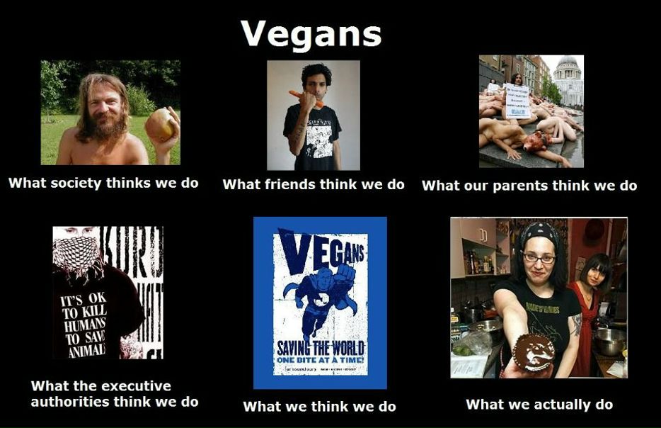 Pluscha Black фото №7