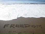 Євгеній Федоренко фотография #31 (источник - https://vk.com/id12834429)