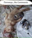 Андрей Андреев фотография #30 (источник - https://vk.com/id13064176)