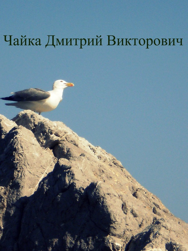 Дмитрий Чайка фотография #14