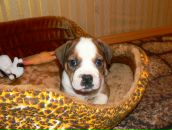 Фотография Кузнецовой Кати