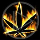 Віталік Яцків фотография #1