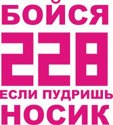 №14, Михаил Сорокин №14, Михаил Сорокин