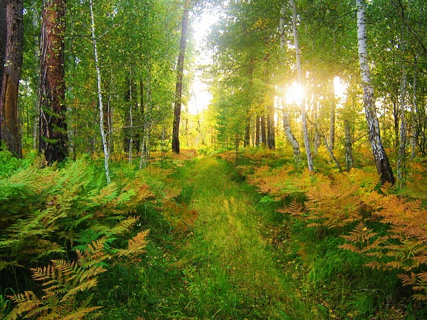 Дмитрий Беляков фотография #19