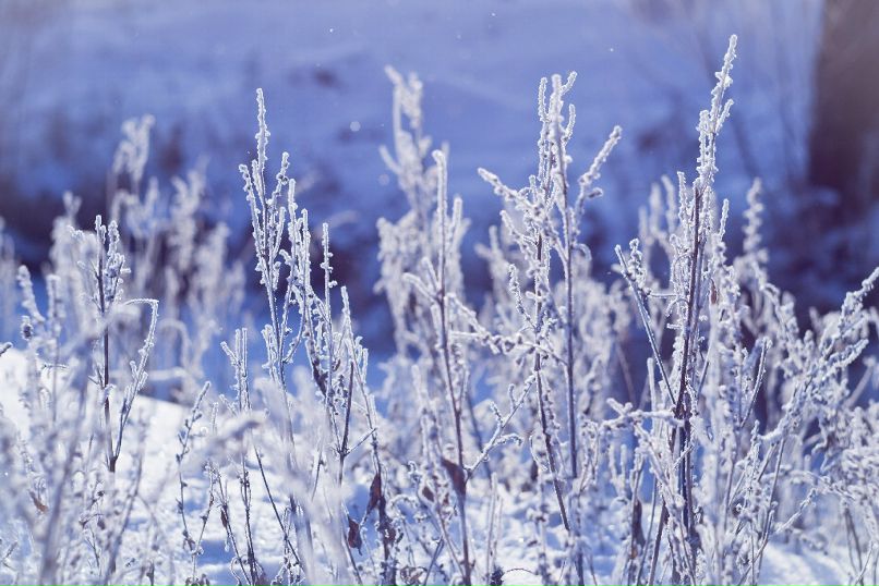 Антон Девяткин фотография #26