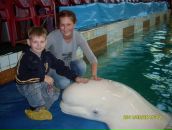 Фотография Николаенковой Светланы