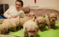 Фотография Шушпановой Екатерины