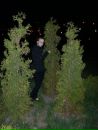 Фотография Аня Солович