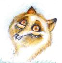 Фотография Серповой Антонины