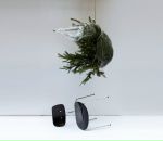 Макс Образцов фотография #38 (источник - https://vk.com/id3428524)