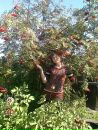 Фотография Войкусов Михаил
