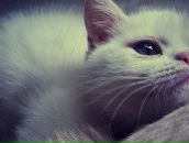 Валерія Седньова фотография #34 (источник - https://vk.com/id131703036)