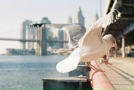 Фотография Филатовой Ольги