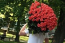 Селена....: Гомез...:** фотография #31 (источник - https://vk.com/id150668531)