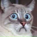 Фотография Марина Евгения