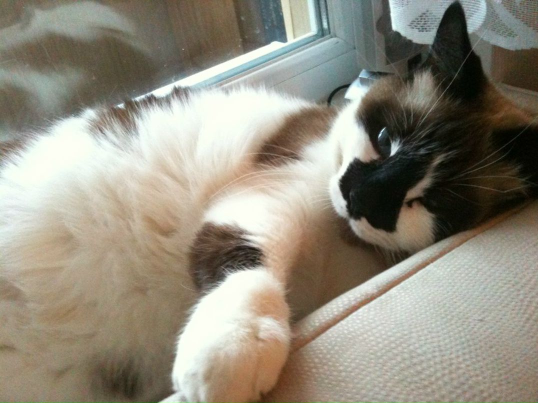 Андрей Рыженко фотография #32