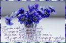 Фотография Зайцевой Екатерины