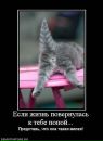 Фотография Ганеевой Элечки