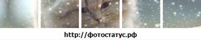 Тарас Еолітік фотография #45 (источник - https://vk.com/id13522765)