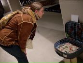 Фотография Дьяченко Денис