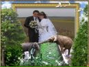 Міша Швед фотография #3 (источник - https://vk.com/id152453930)