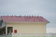 Фотография Печкуровой Ольги