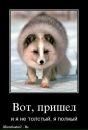 Фотография Прутниковой Елены