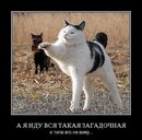 Вова Федінчик фотография #42 (источник - https://vk.com/id167941918)