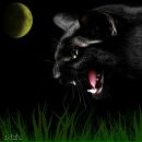 Фотография Горвардова Александра