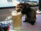 Фотография Yanin Maksim