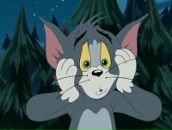 Фотография Фея Игоря