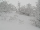 Юлія Вербовицька фотография #32 (источник - https://vk.com/id49526237)