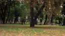 Катя Никіфорова фотография #47 (источник - https://vk.com/id9315665)