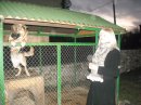 Ірина Ірина фотография #37 (источник - https://vk.com/id31038684)
