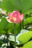 Фотография Башкина Георгия