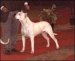  фотография #25