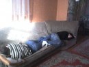Віталій Тимчук фотография #22 (источник - https://vk.com/id29641812)