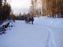 Валерій Матеящук фотография #5 (источник - https://vk.com/id28548420)