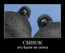 Сергей Малинов фотография #38 (источник - https://vk.com/id3626556)