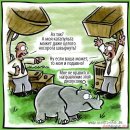 Иван Меняйлов фотография #46 (источник - https://vk.com/id1688)