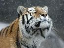 Фотография Агеевой Натальи