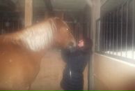 Іра Григорчук фотография #42 (источник - https://vk.com/id137687257)