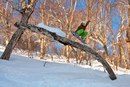 Фотография Матвеева Алексея